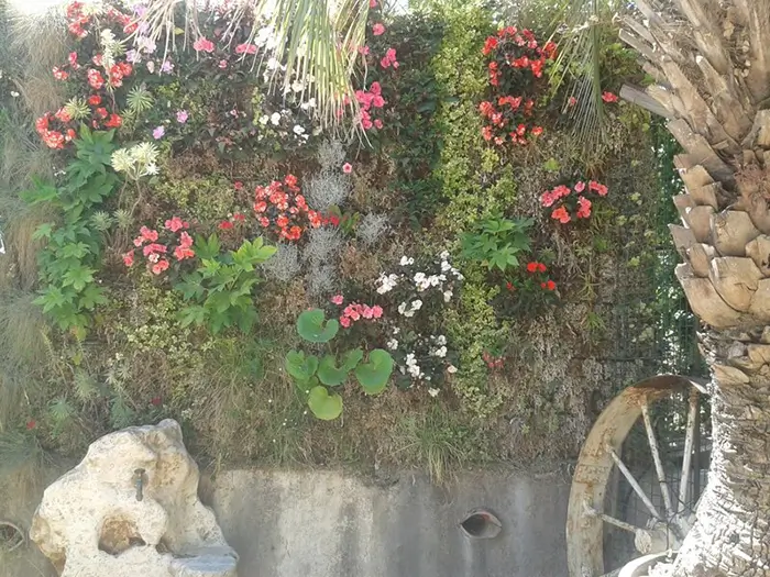 Mur végétal utilisé comme brise vue