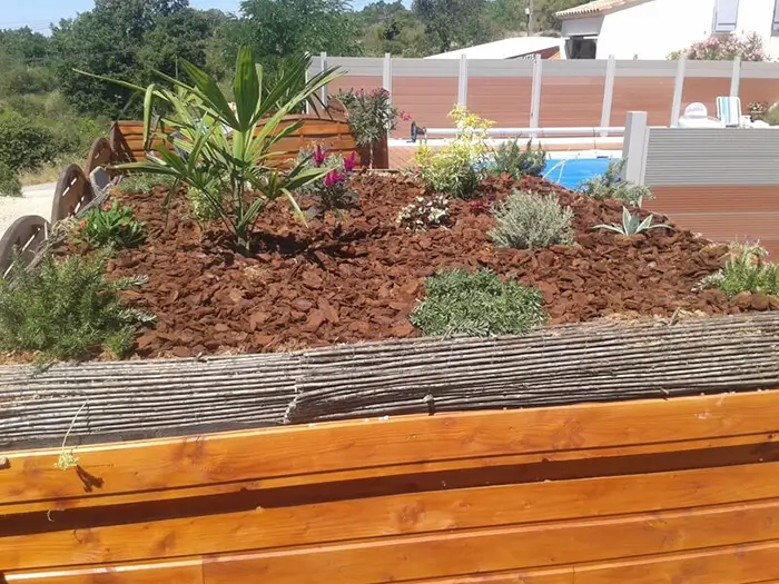 Toit végétalisé sur un local technique de piscine